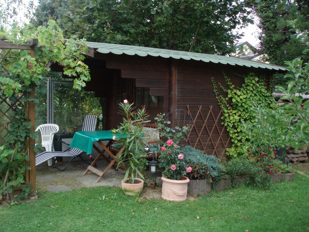 Ferienwohnung Anna Scheid เคลแบร์ก ภายนอก รูปภาพ